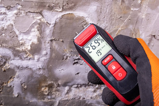 Best Emergency Mold Removal  in Sparkill, NY
