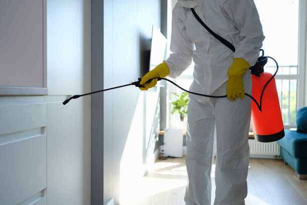 Certified Mold Removal in Sparkill, NY