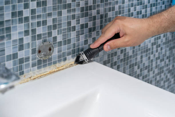 Best Home Mold Removal  in Sparkill, NY