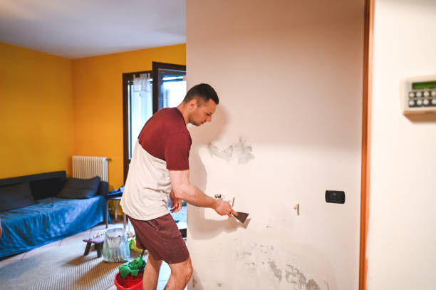Professional Mold Removal in Sparkill, NY